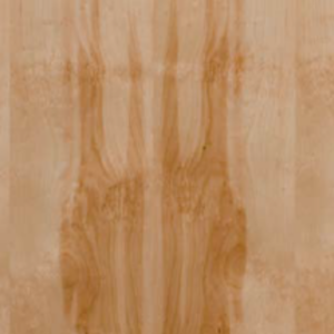 Natural Birch - Flat Cut