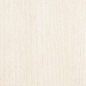 White Birch - Quarter Cut